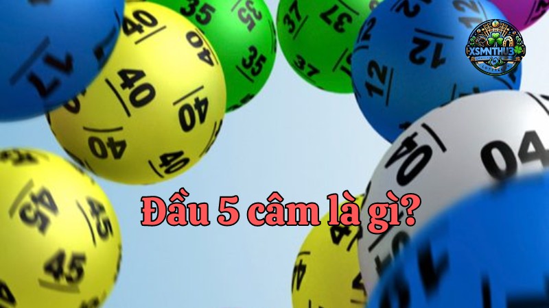 Dự đoán và soi cầu đầu 5 câm - Kinh nghiệm và chiến lược thành công